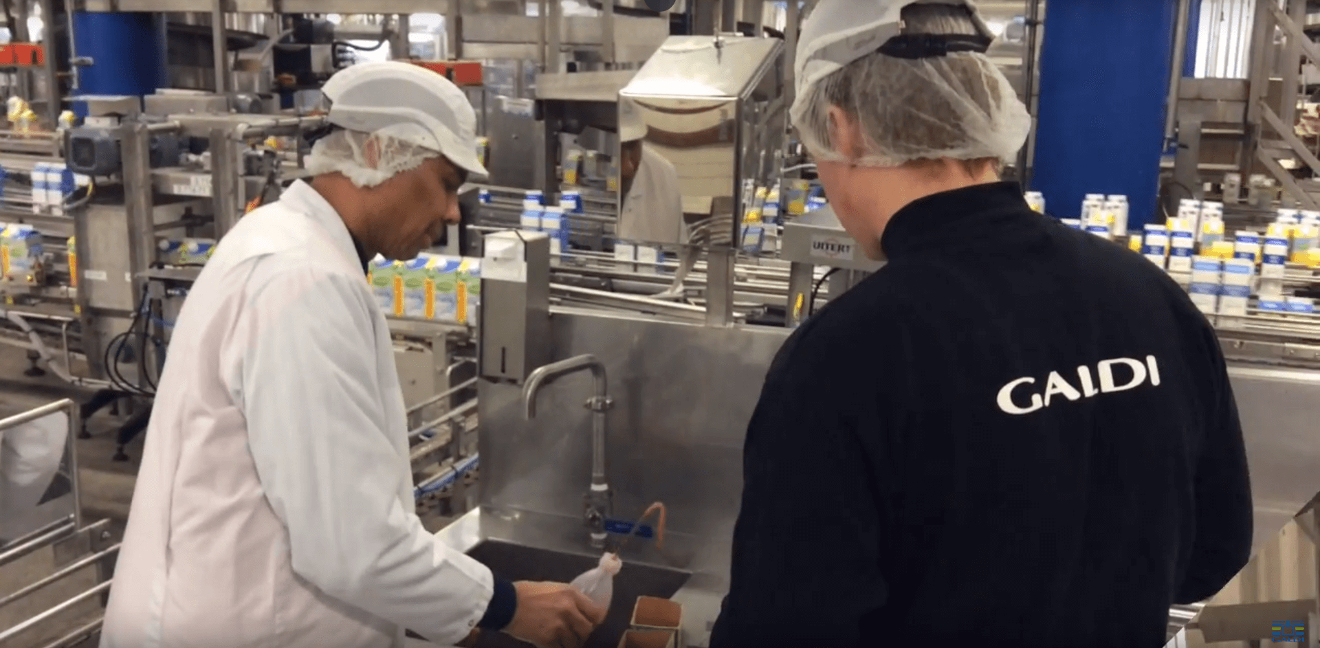 Dye Test and Perfect Carton Sealing a Howto Guide Galdi